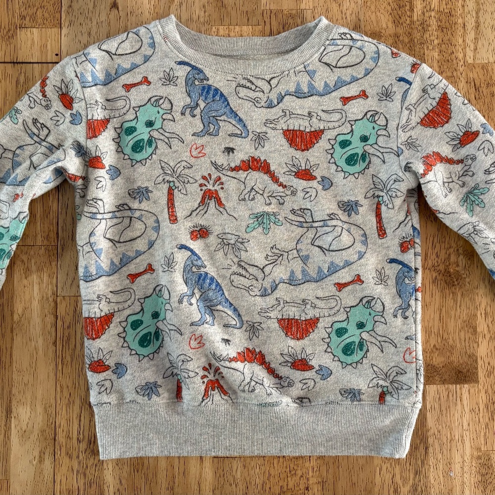 Dinosaur sweatshirt (5T)